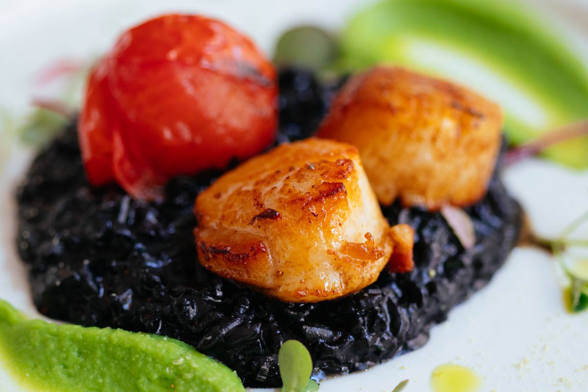 Seared diver scallops over black squid-ink risotto